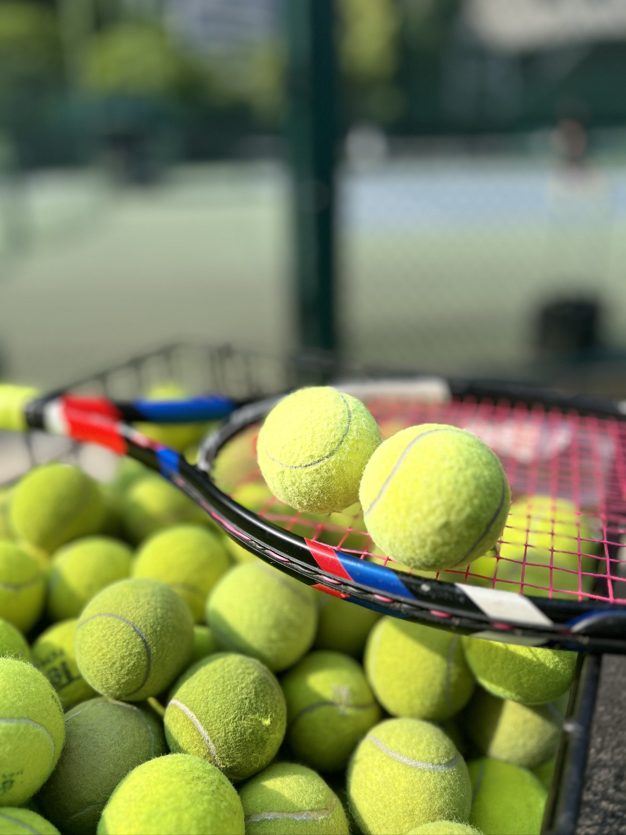 但一旦分配 但一旦分配