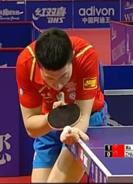 这也反映了 这也反映了